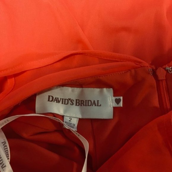 David's Bridal (Coral) Pink Dress - Picture 5 of 5